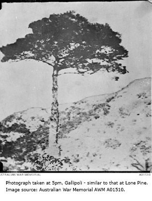 Photograph taken at 5pm, Gallipoli